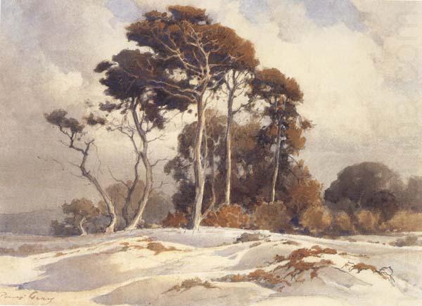 Pines and Sand Dunes (mk42), Percy Gray